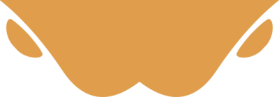 شكل زاوية السلايدر